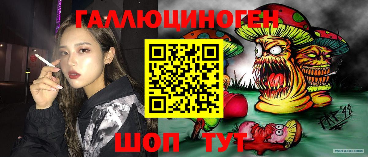 Галлюциногенные грибы Psilocybine cubensis  Вход с VPN  Каменск-Шахтинский 
