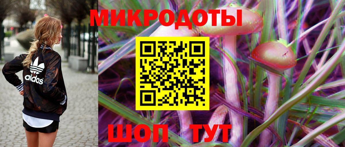 Галлюциногенные грибы GOLDEN TEACHER Каменск-Шахтинский